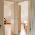 Casa vacanze Met Ruime Tuin En Hottub Ouddorp