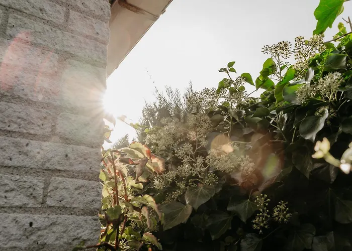 بيت للعطل Met Ruime Tuin En Hottub *