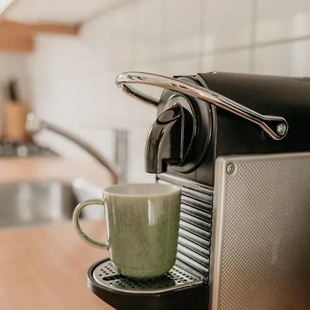 Ferienhaus Met Ruime Tuin En Hottub Ouddorp